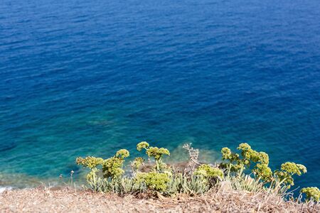 Top hill view over the seaの写真素材