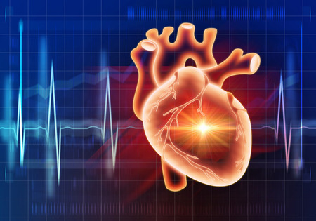 Modern medicine cardiology conceptの写真素材