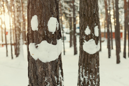 Winter smiley face on a treeの写真素材