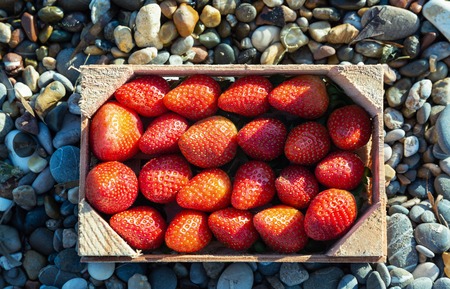 A box full of ripe strawberries on stone background. Organic food concept