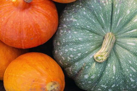 A flat lay photo of colorful pumpkins collected at harvestの写真素材