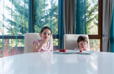 Cute children eating fresh ripe strawberries at homeの写真素材
