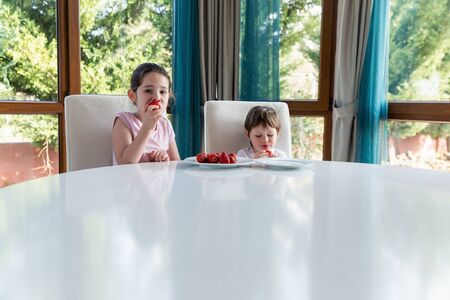 Cute children eating fresh ripe strawberries at homeの写真素材