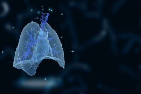 Human lungs affected by Covid-19. Sars disease, coronaviruses in the human lungsの写真素材