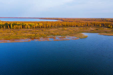 Aerial photo of a surface of the lake surrounded by colorful forest in autumn.の写真素材