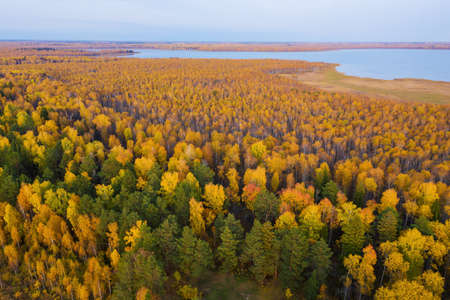 Aerial photo of a surface of the lake surrounded by colorful forest in autumn.