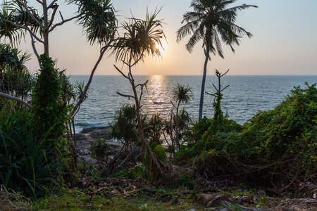A tropical island with palm trees and blue ocean at sunset. Sri Lankaの写真素材