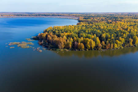 Aerial top view of beautiful lake surrounded by colorful forest in autumnの写真素材