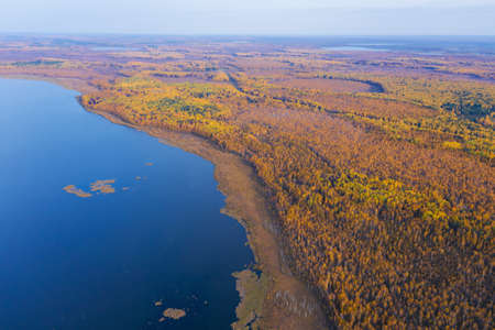 Aerial top view of beautiful lake surrounded by colorful forest in autumnの写真素材