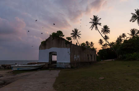 A tropical island with palm trees and ruined by tsunami house. Sri Lankaの写真素材