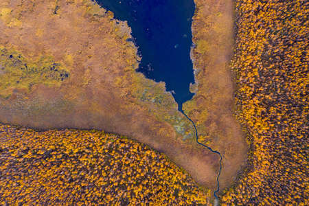 Aerial top view of beautiful lake surrounded by colorful forest in autumnの写真素材