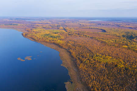 Aerial top view of beautiful lake surrounded by colorful forest in autumnの写真素材
