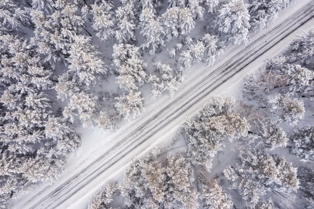 Aerial view of road in winter forest landscapeの写真素材