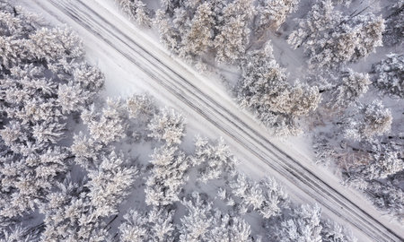 Aerial view of road in winter forest landscapeの写真素材