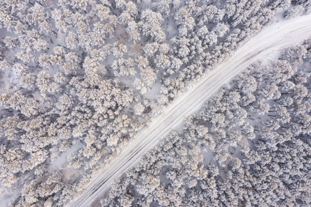 Aerial view of road in winter forest landscapeの写真素材