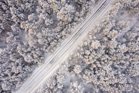 Aerial view of road in winter forest landscapeの写真素材