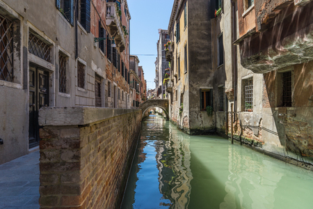 Venice Creek sceneのeditorial素材