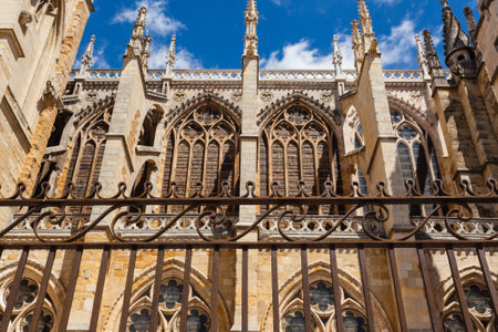 side view of flying buttresses with forefront forge  in the cathedral of Leon Spainの写真素材