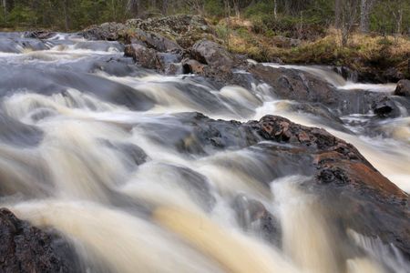 Flowing river in the forest, foamy water