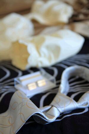 Neck tie, jewelry and dress before  the weddingの写真素材