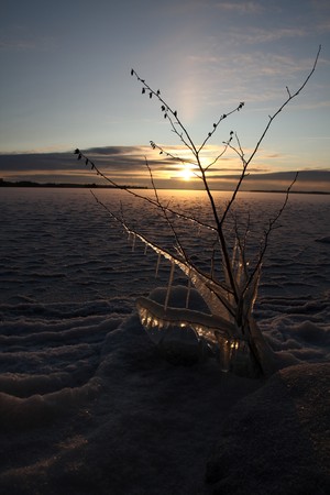 Sunset over frozen lake in winter, Finlandの写真素材