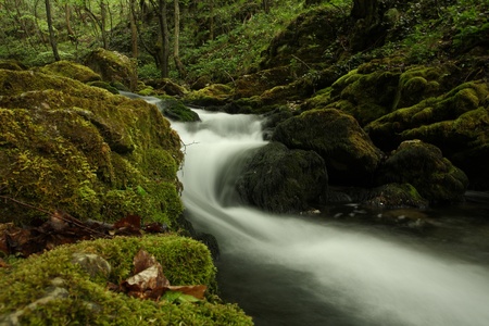 Beautiful river forming small waterfalls in a forestの写真素材