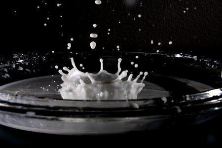 Milk splash over a black background imageの写真素材