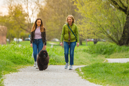 Mother and daughter with dog walking in park outdoors. Concept of free time spent in nature and...