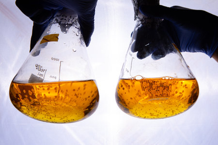 Close up view hands in domestic gloves hold large glass bowls half-full of bubble liquid against white wall backgroundの写真素材