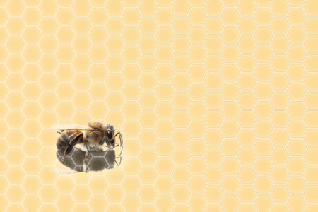 Honey bee on a yellow background with hexagons representing the hive. Concept of bee venom cosmetics used in skin care with various benefits, such as shrink effect on the skin and anti-aging actionの写真素材