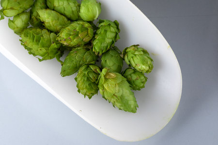 Macro of a bunch of hop flowers picked with an herbalist's scoopの写真素材