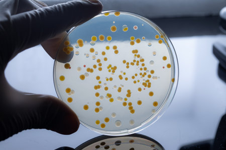 experiments on viruses and bacteria: the biotechnology of the futureの写真素材