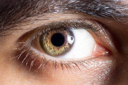 eye exam: concept of prevention of eye disorders at a young age