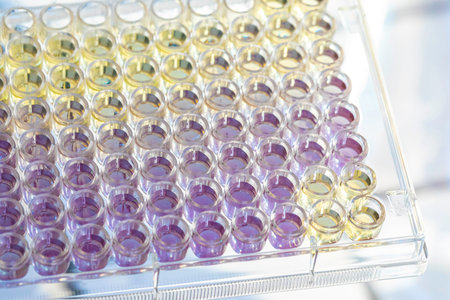Laboratory glassware containing samples for biochemistry, genetics and laboratory research. 96 wells...