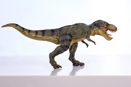 Dinosaur isolated on white background