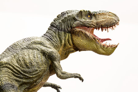 Tyrannosaurus rex roaring isolated on white background