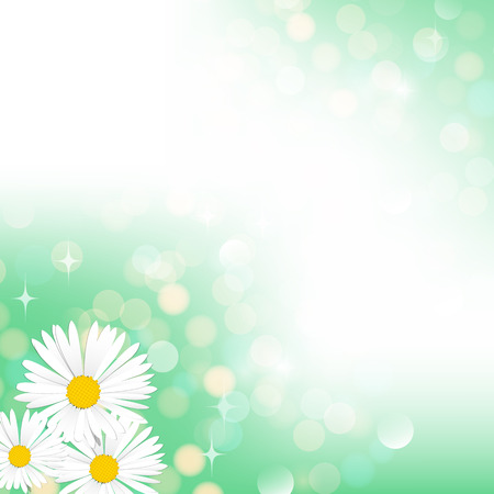 Spring green bokeh vector camomile background banner postcardのイラスト素材