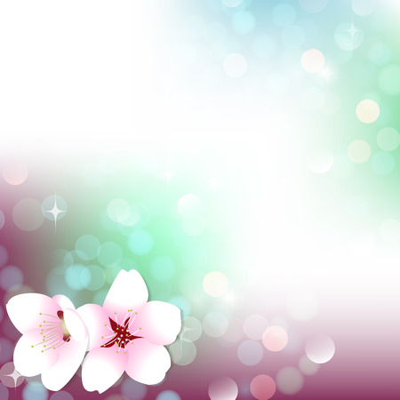 Spring bokeh vector cherry blossom background banner postcardのイラスト素材