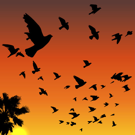 Vector sunset tropical birds silhouettes flying above the palm treeのイラスト素材