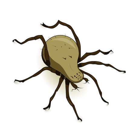Vector illustration of dust mite parasite isolated on white backgroundのイラスト素材