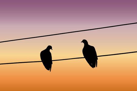 Silhouettes of two pigeons sitting on a wire and looking at each other against the sunset sky. Vector illustrationのイラスト素材