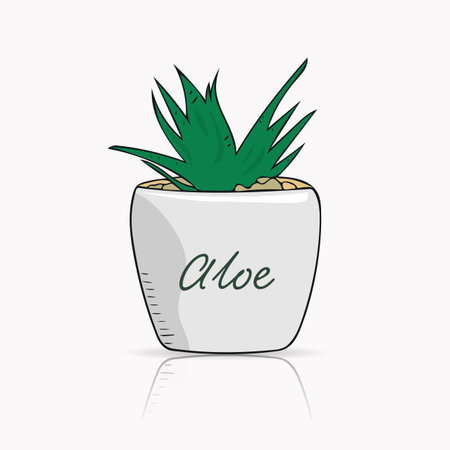 Hand drawn aloe vera in a small white ceramic pot. Beautiful floral design elements. Simplistic vector illustrationのイラスト素材