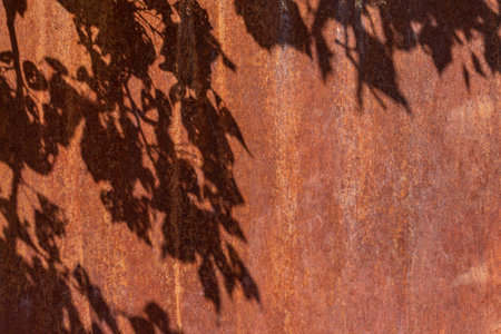 Macro fragment of the dark worn rusty metal wall texture with leaf shadow, grunge background.