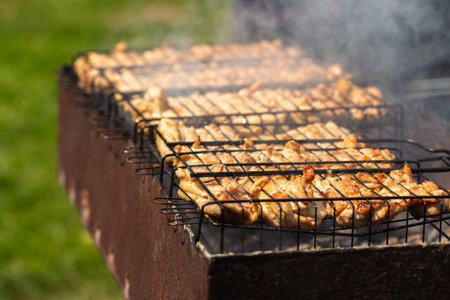 Juicy, marinated chicken pieces grilling on a rack over hot coals, surrounded by smoke with a blurred green grass background on a sunny dayの写真素材