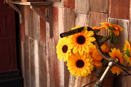 Yellow sunflowers in a basket Beautiful adorable.の写真素材