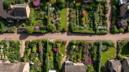 Aerial photo of a forked village street bordered by flower gardens and tidy lawnsの素材