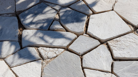 Polygonal cracking pattern formed naturally on dry desert ground, isolated by sunlightの素材