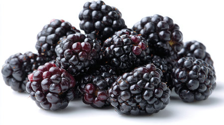 A group of fresh blackberries placed in a loose pile on a bright white backgroundの素材