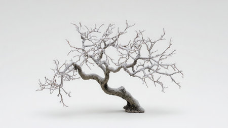 Miniature winter tree model dusted with artificial snow on pure white studio backgroundの素材