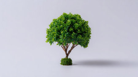 Tiny artificial shrub trimmed in the shape of a tree, standing alone on white backgroundの素材
